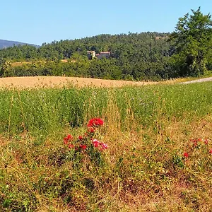 Bed & Breakfast Villa Doubledot, San Benedetto Val di Sambro